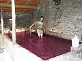 153-Pisada vinho artesanal